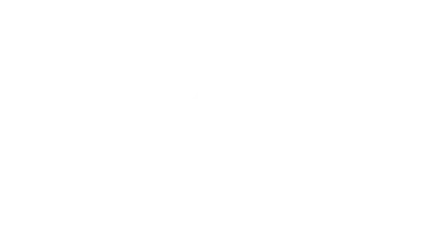 Extrax-Palm (1)